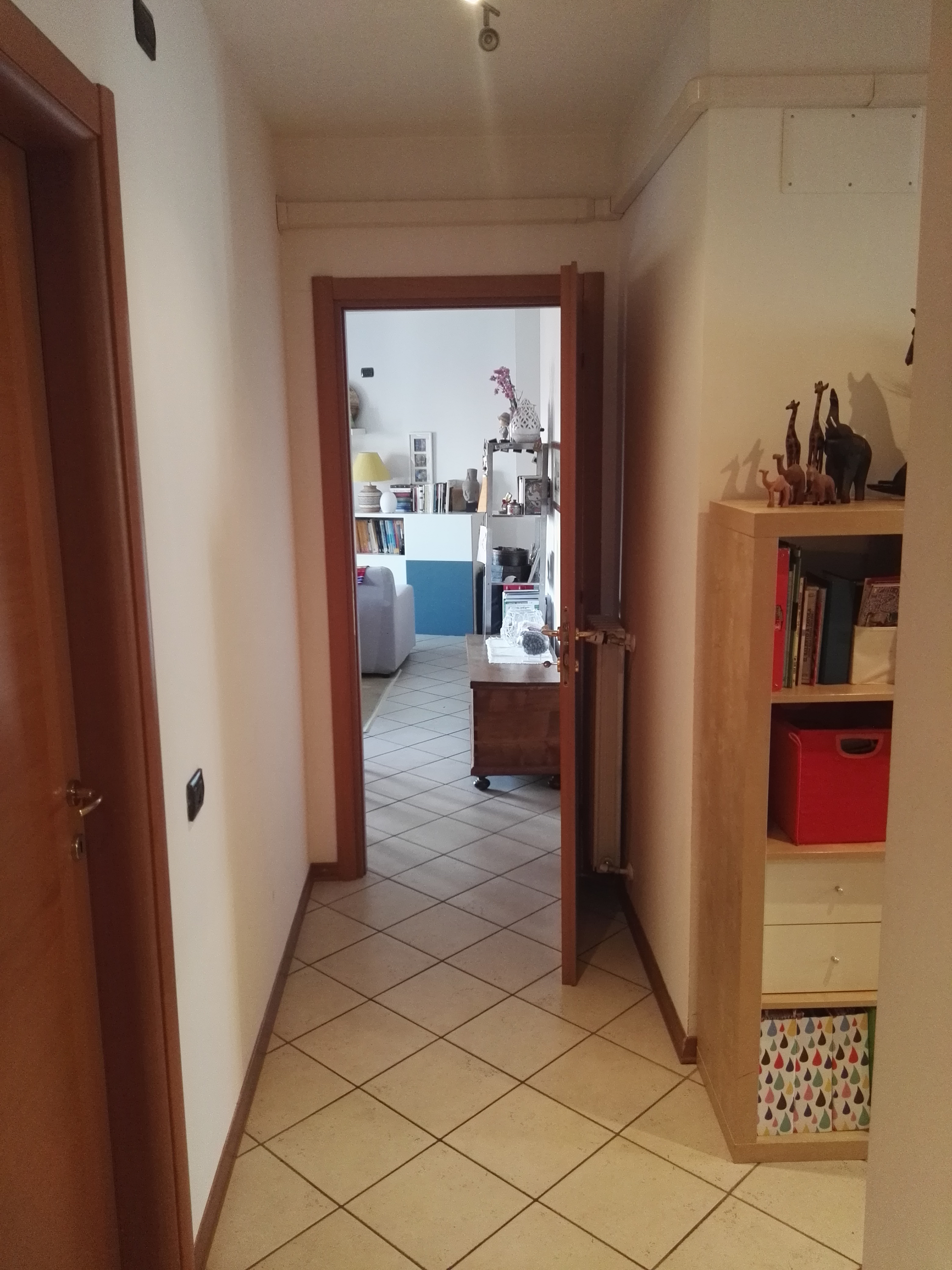 dismpegno